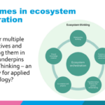 CEGO in Laurea Journal: Sociology and Ecosystems Orchestration